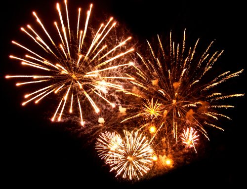 5 Tips to Keep Fireworks from Igniting Fear in Your Pet
